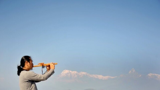 Himalayan fish tail