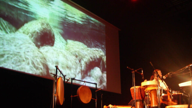 コルシカ コンサート